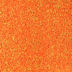 Pumpkin Orange