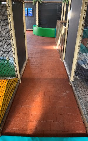 ErgoPave Rubber Pavers